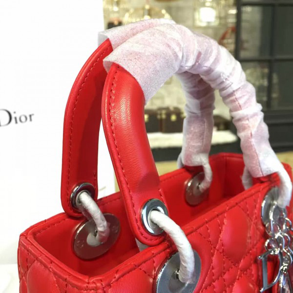lady D10r 1629 20cm