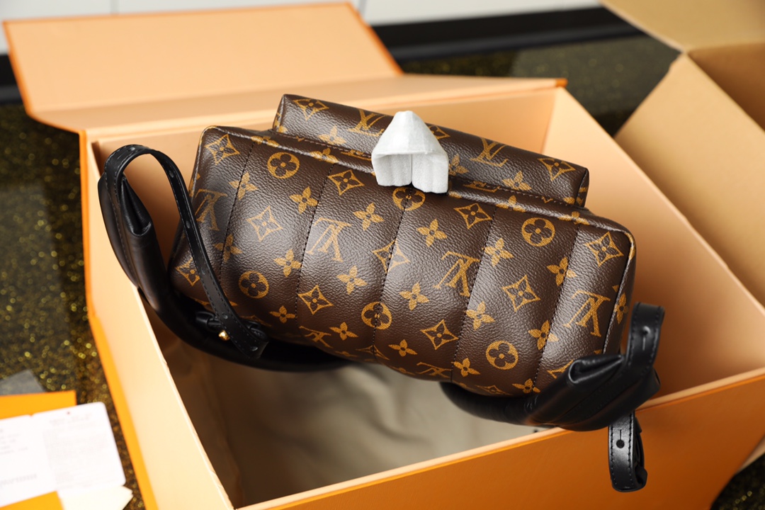 l0vis Vvtt0n palm springs mm backpack m44874 30cm