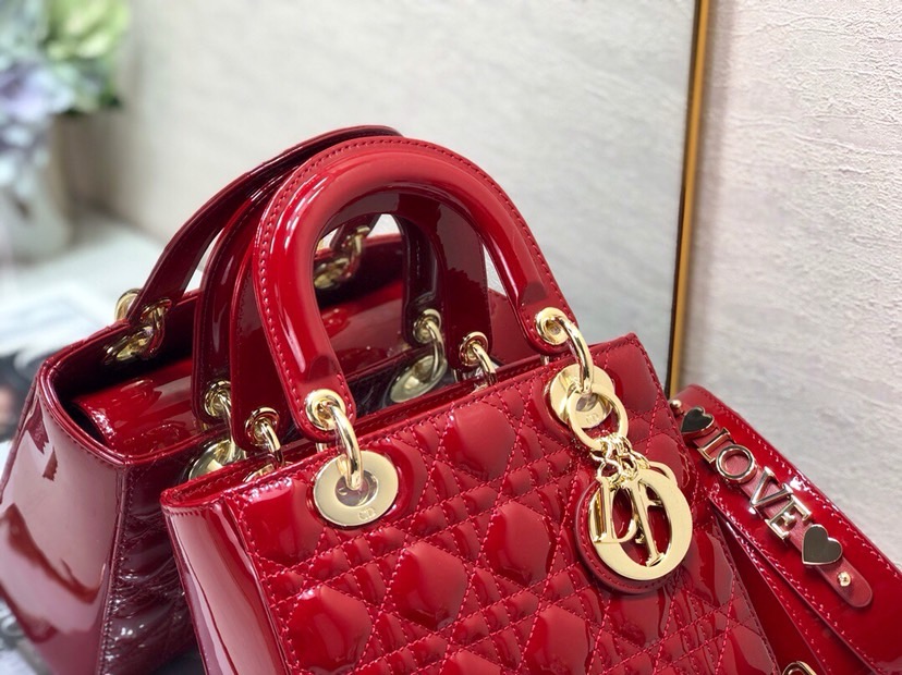 D10r lady bag 20cm 2024073001